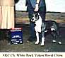 AKC Ch. White Rock Yukon Royal China.jpg
23,82 KB 
330 x 296 
18.1.2002
