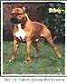 AKC Ch.Yukon's Epicure Red Scorpion.jpg
31,03 KB 
350 x 433 
18.1.2002
