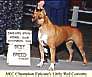 AKC Champion Epicure's Little Red Corvette.jpg
31,74 KB 
372 x 312 
18.1.2002
